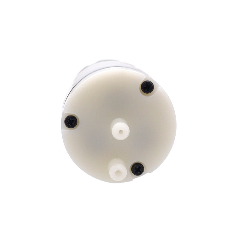1PCS 310 Pompa per vuoto DC 6V - Mini Peristaltic Pump 12V recensione e prezzo